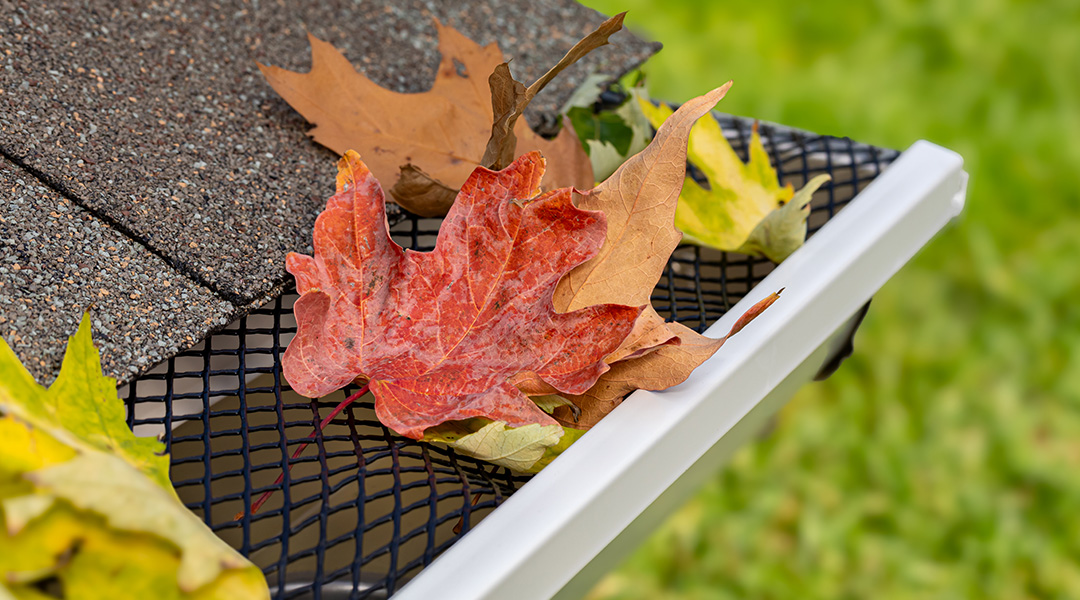 Types of Gutter Guards | Screen Gutter Guards | Mesh Gutter Guards | Reverse Curve Gutter Guards | Brush Gutter Guards | Foam Gutter Guards