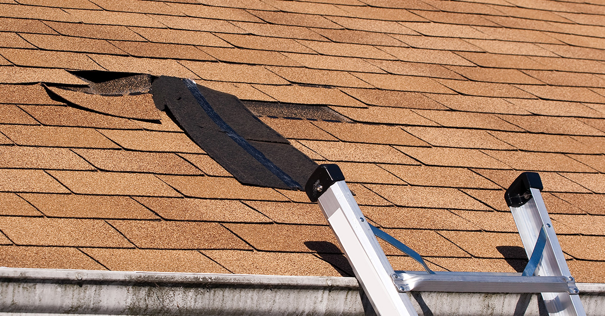 Wind Uplift Understanding Asphalt Shingle Wind Ratings: Why They Matter for Your ...